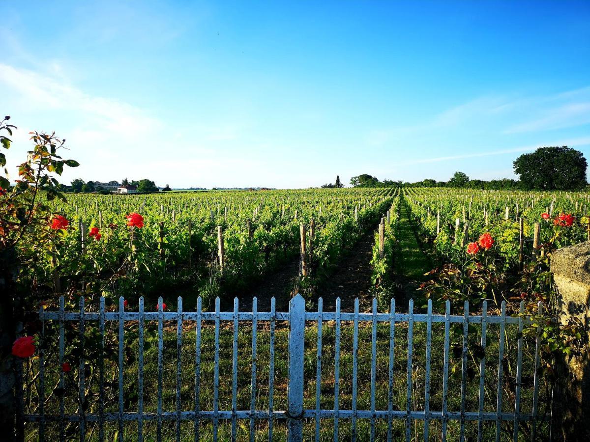 La Maison Des Vignes Saint Emilion Apartment ภายนอก รูปภาพ